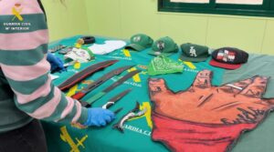 Golpe a las bandas juveniles en Madrid: detenidos miembros de Trinitarios, Bloods y Forty-Two