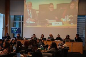 Infancia protegida: Rego defiende en Naciones Unidas medidas para erradicar la violencia y la desigualdad