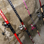 RecFishing: la nueva herramienta europea para recopilar datos de la pesca recreativa