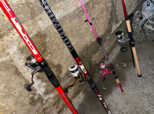 RecFishing: la nueva herramienta europea para recopilar datos de la pesca recreativa