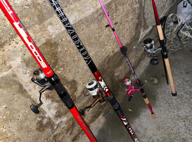 RecFishing: la nueva herramienta europea para recopilar datos de la pesca recreativa