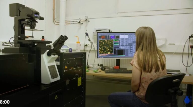 Madrid, Galicia y Extremadura bajo la amenaza del radón: riesgo de cáncer de pulmón para no fumadores