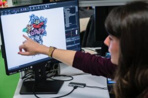 Científicos españoles identifican un mecanismo celular inédito para degradar proteínas sin ATP