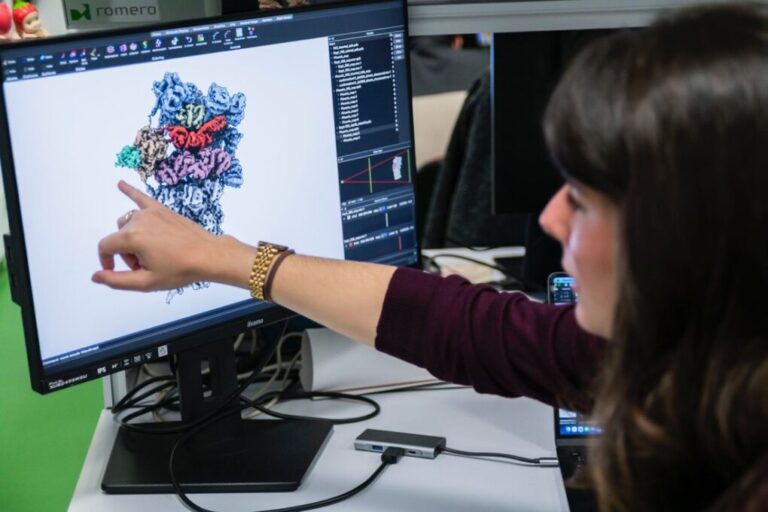 Científicos españoles identifican un mecanismo celular inédito para degradar proteínas sin ATP