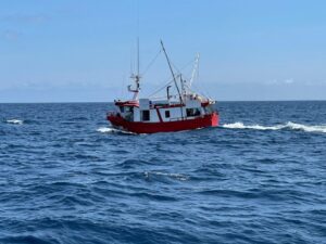 Rescate al límite en el sur de Galicia: dos tripulantes a salvo tras naufragar el Maresco Tres