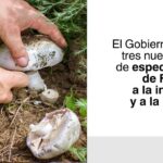 Formación Profesional 2026: el Ejecutivo apuesta por la informática y el micoturismo con tres nuevas titulaciones