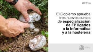 Formación Profesional 2026: el Ejecutivo apuesta por la informática y el micoturismo con tres nuevas titulaciones