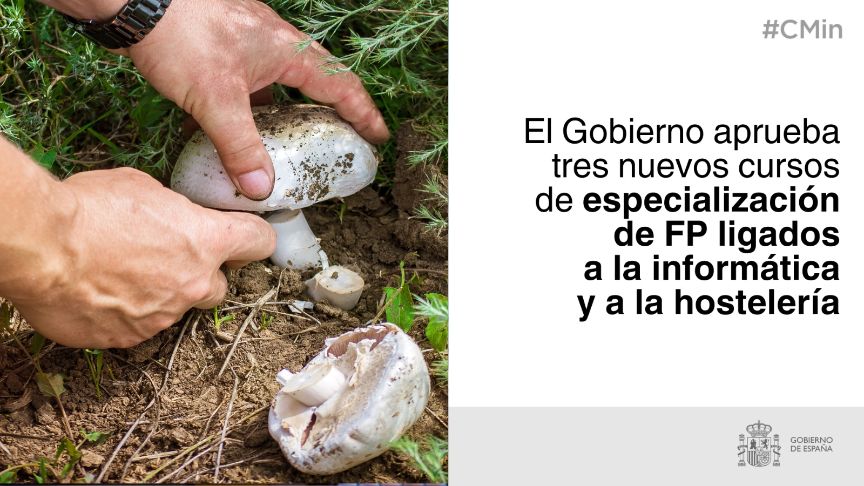 Formación Profesional 2026: el Ejecutivo apuesta por la informática y el micoturismo con tres nuevas titulaciones