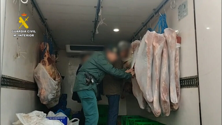 Más de 4 toneladas de carne sin trazabilidad y 1.900 zapatillas falsas incautadas en Alicante