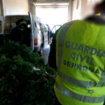 La Guardia Civil destapa un negocio ilegal millonario con el lentisco extraído de zonas protegidas