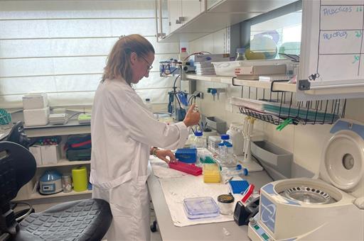 Récord histórico de empleo: más de 22 millones de afiliados en España en marzo de 2026