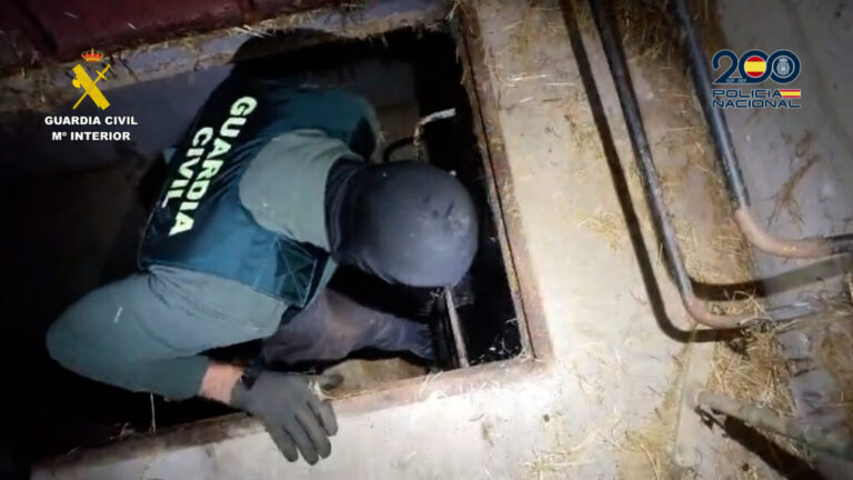 Golpe al narcotráfico en Andalucía: 17 detenidos y armas de guerra intervenidas