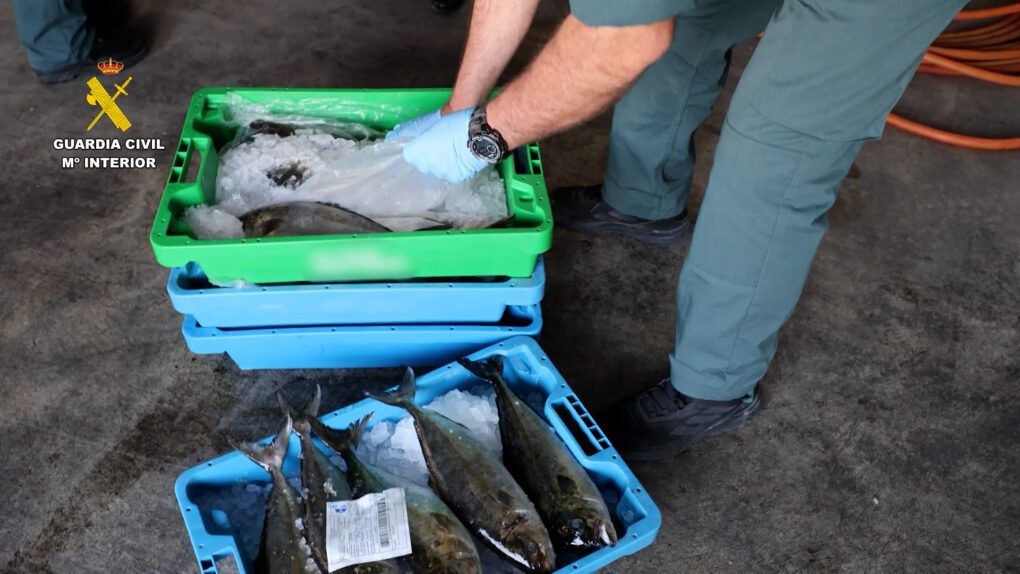 La Guardia Civil evita la venta de 227 kilos de pescado robado con restos de medicamentos