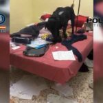 Cae una red que cobraba 200 euros por migrante para trasladarlos ilegalmente de Alicante a Francia