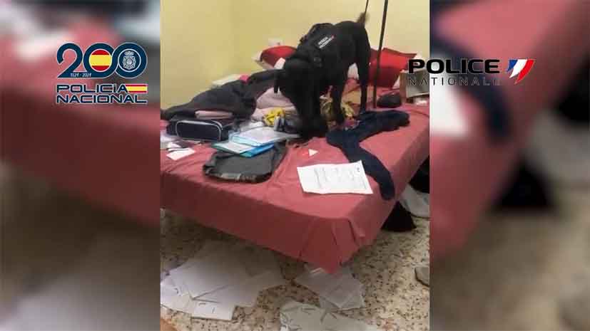 Cae una red que cobraba 200 euros por migrante para trasladarlos ilegalmente de Alicante a Francia