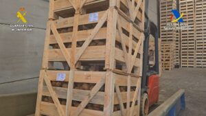 Interceptan más de 1.200 kilos de cocaína ocultos entre cocos en Sevilla y detienen a dos personas