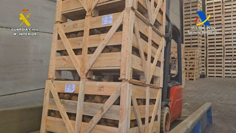 Interceptan más de 1.200 kilos de cocaína ocultos entre cocos en Sevilla y detienen a dos personas