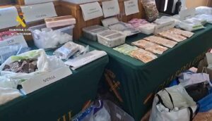 Cae una organización que enviaba ketamina, cocaína, LSD y otras drogas por paquetería desde Valencia