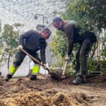 Récord de empleo en septiembre: España roza los 22,5 millones de afiliados y acelera su crecimiento anual